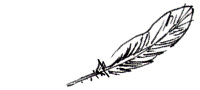 Feather
